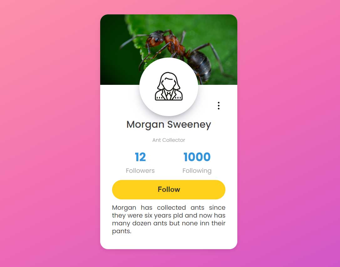 Profile Cards in CSS
