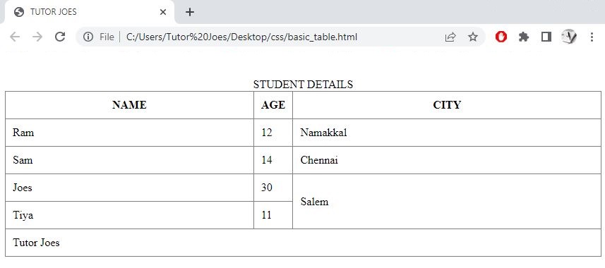 CSS Table