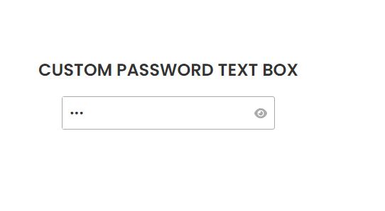 custom password text box