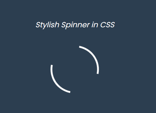 Stylish Spinner